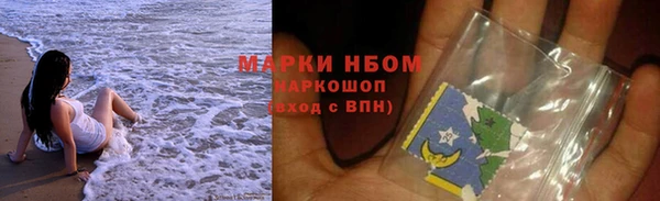 сатива Покровск