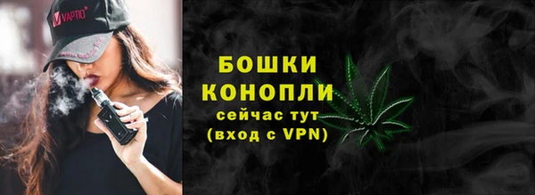 ГАЛЛЮЦИНОГЕННЫЕ ГРИБЫ Покров