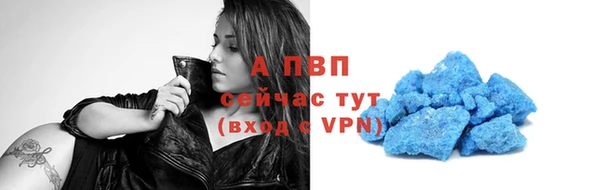 сатива Покровск