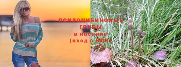сатива Покровск