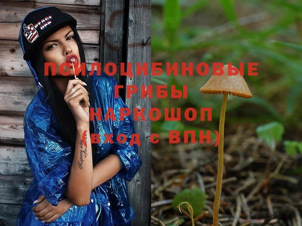 сатива Покровск