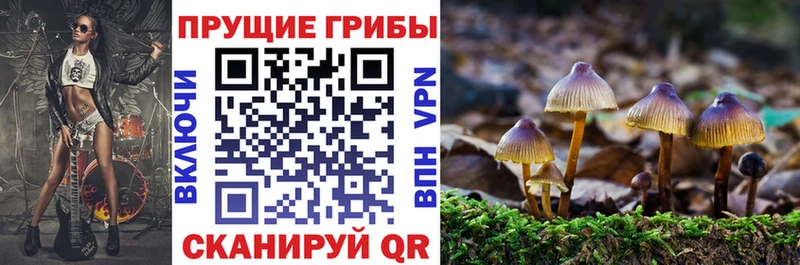 где продают наркотики  Горячеводский  Псилоцибиновые грибы MAGIC MUSHROOMS 